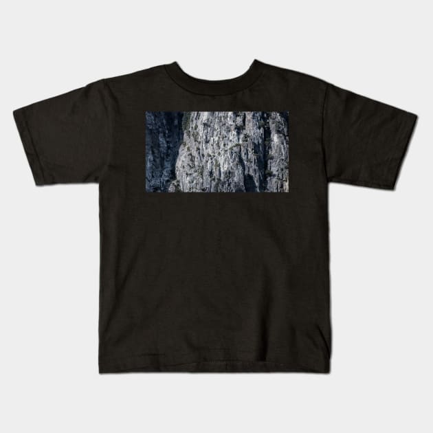 Yosemite National Park - Rock detail Kids T-Shirt by Sampson-et-al